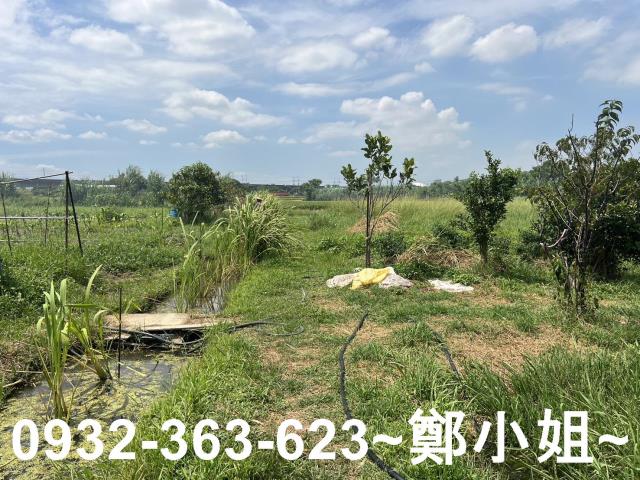 蘆竹農地-3