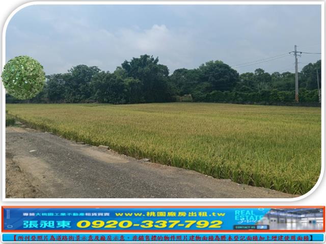龍潭農地-0