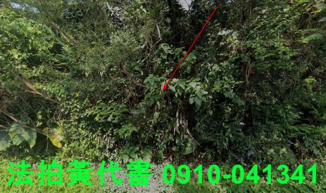 新北石門法拍農地-8