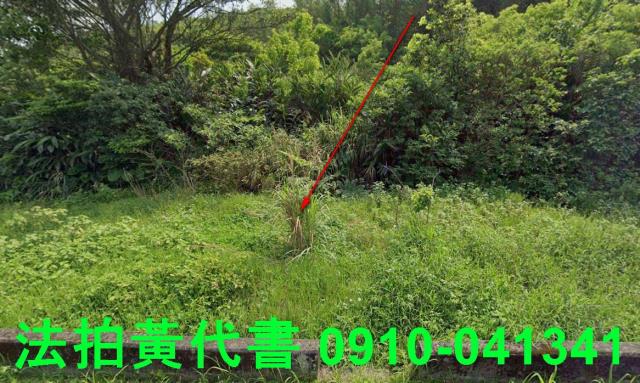 新北石門農地拍賣-0