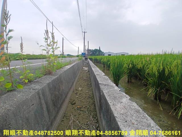 彰化埔鹽農地-6