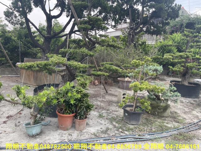 彰化永靖農地-5