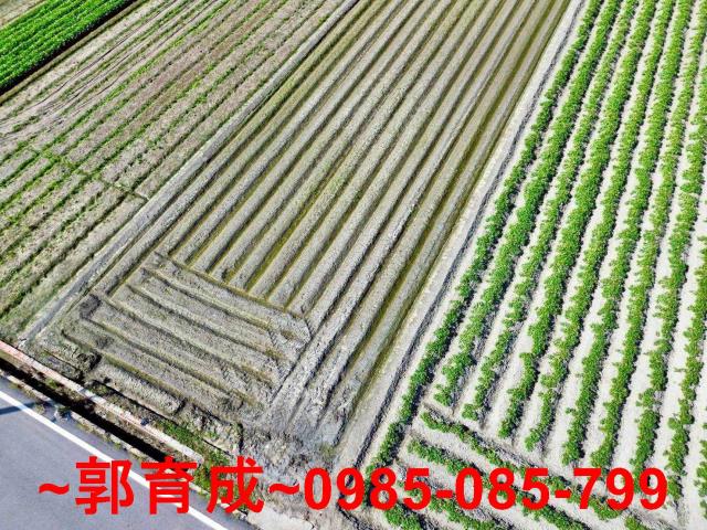 雲林水林農地-6