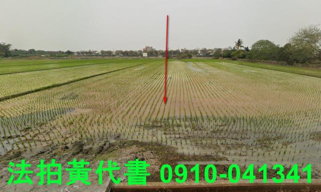 雲林莿桐農地法拍-0