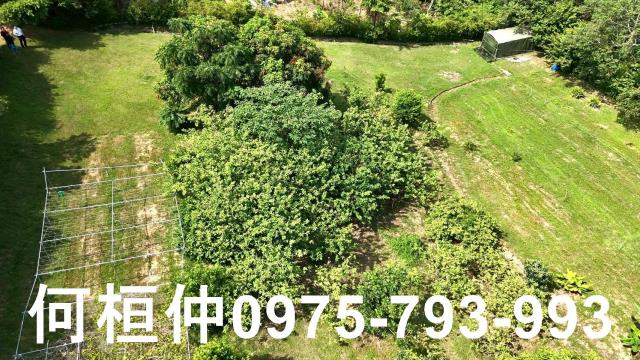頭份農地-6