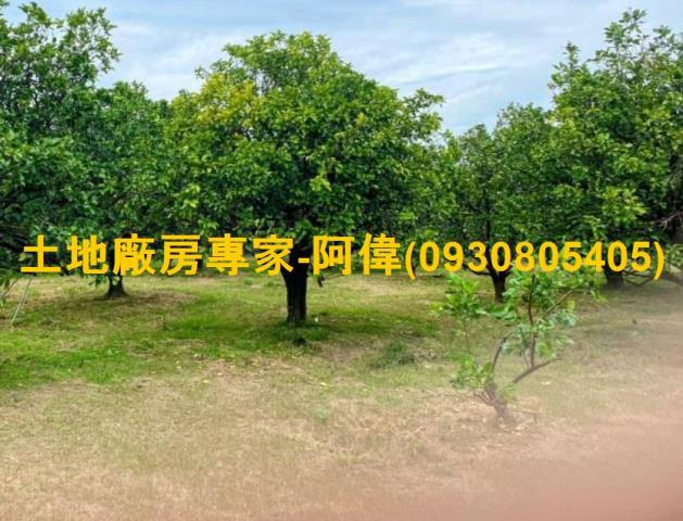 新營茄苳脚北核心都內農地