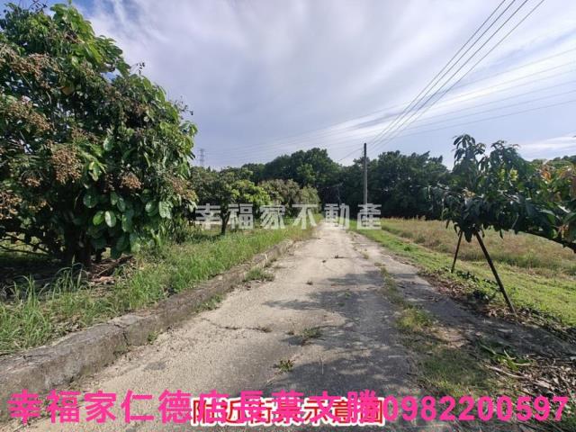 官田農地-3
