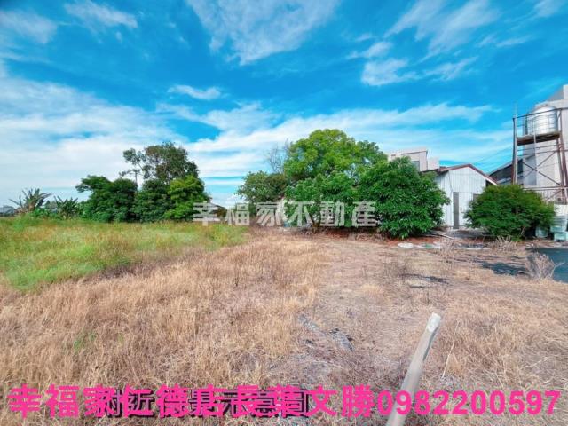 善化農地-13