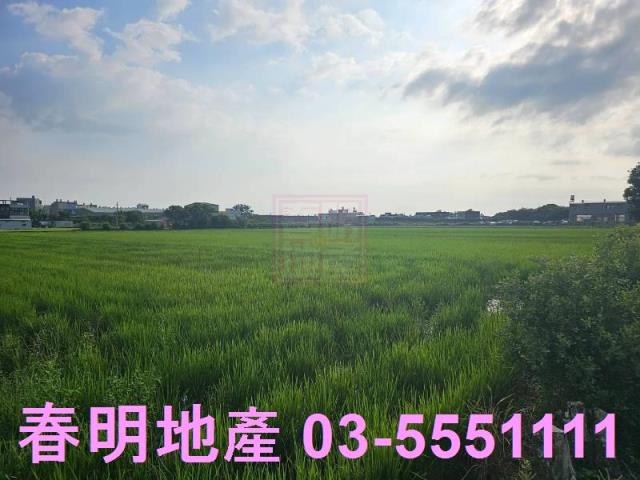 東區農地-3