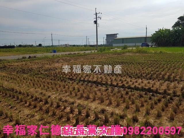 台南農地-6