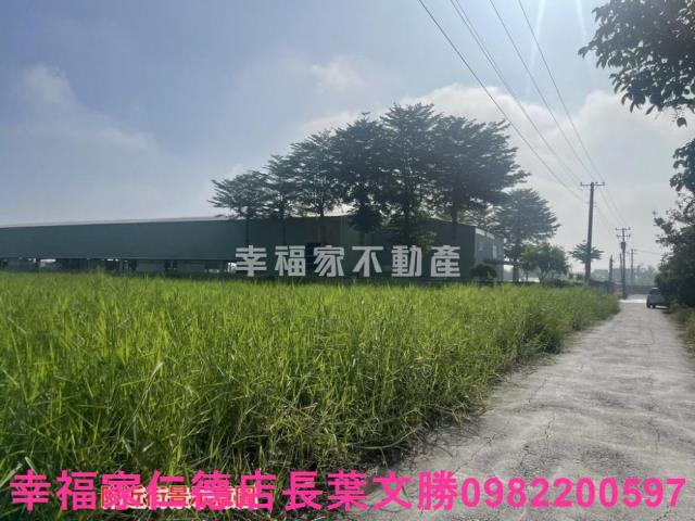 台南新營農地-10