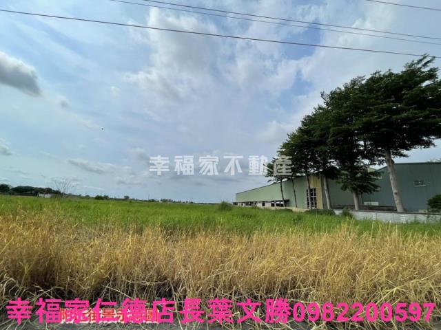 台南新營農地-5