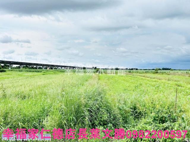 台南善化農地-7