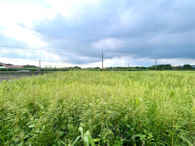 屏東高樹農地-3