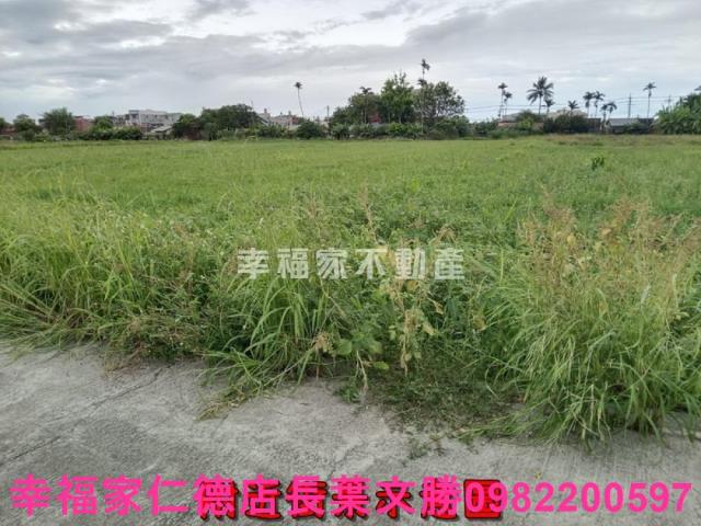 台南佳里農地-13