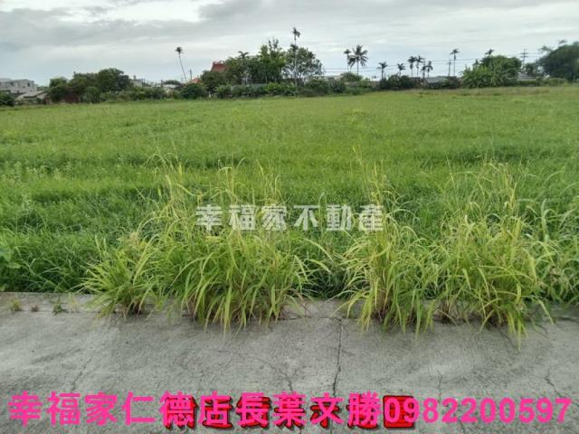 台南佳里農地-5