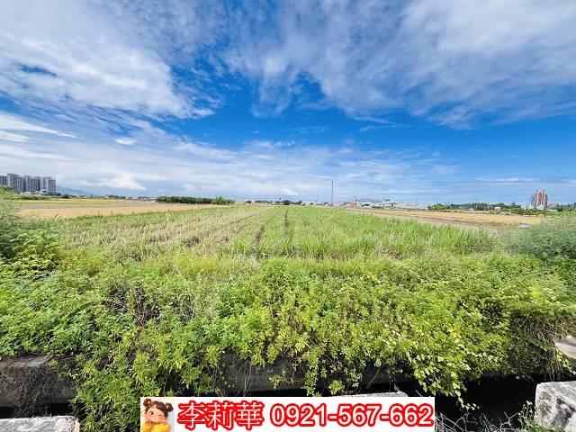 高雄橋頭農地-9