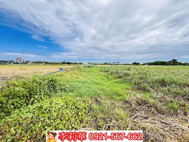 高雄橋頭農地-10