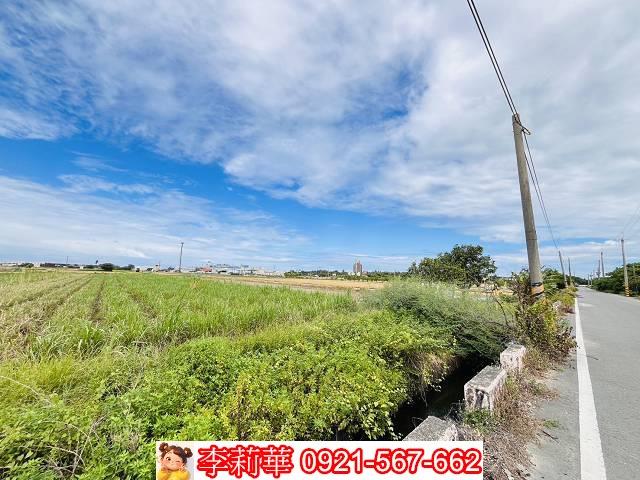 高雄橋頭農地-3