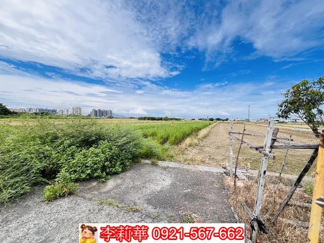高雄橋頭農地-4