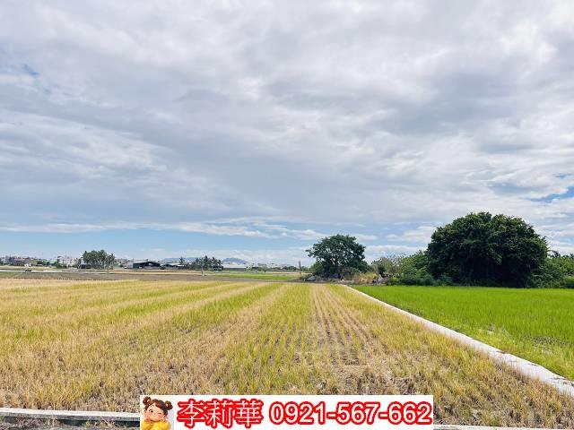 高雄橋頭農地-6