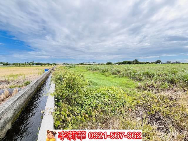 高雄橋頭農地-7
