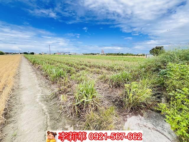 高雄橋頭農地-8