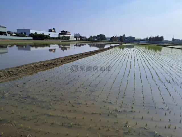 歸仁農地-0
