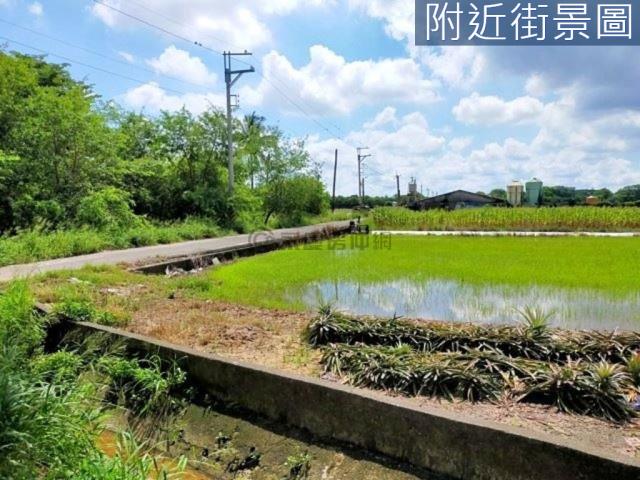 台南新市農地-0