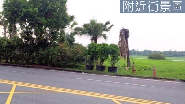 台南新市農地-9