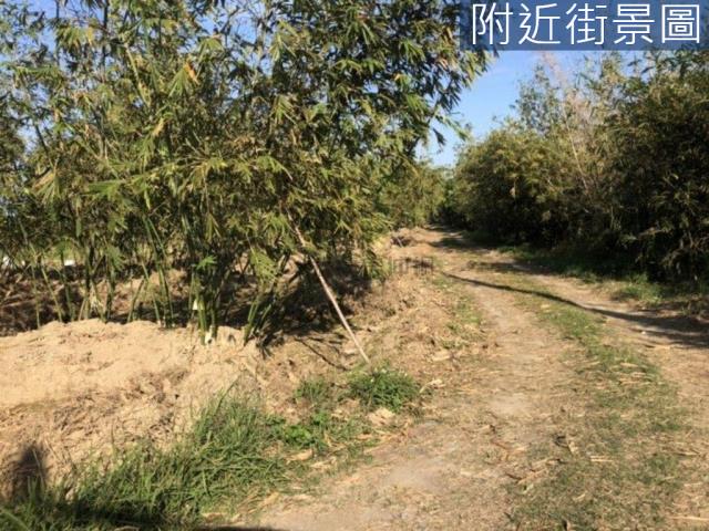 台南關廟農地-4