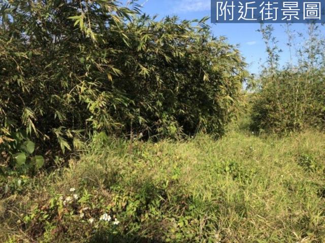 台南關廟農地-5