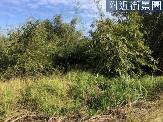 台南關廟農地-6