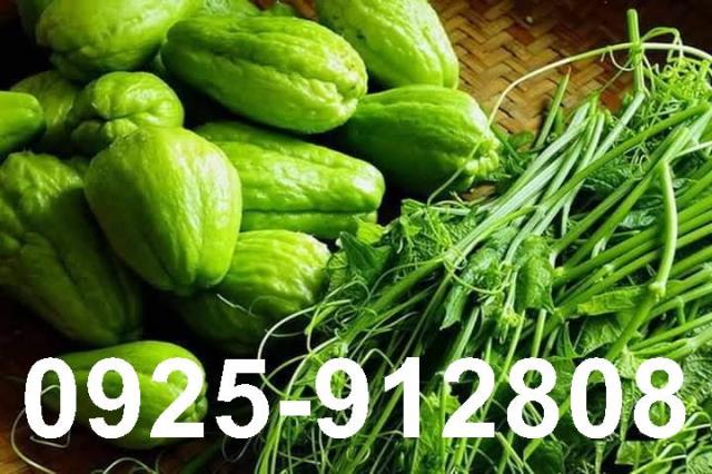 高雄大寮農地-0