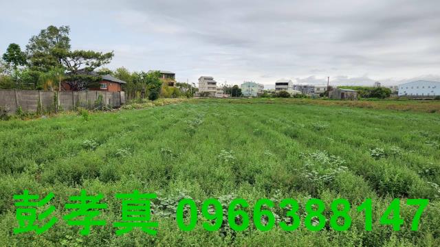 台中潭子農地-1