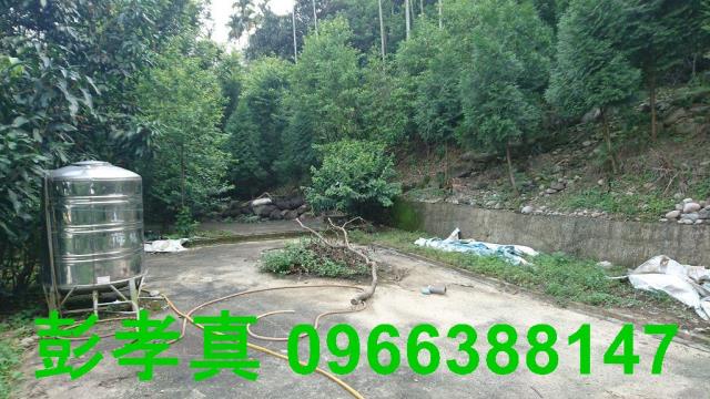 台中新社建地-5