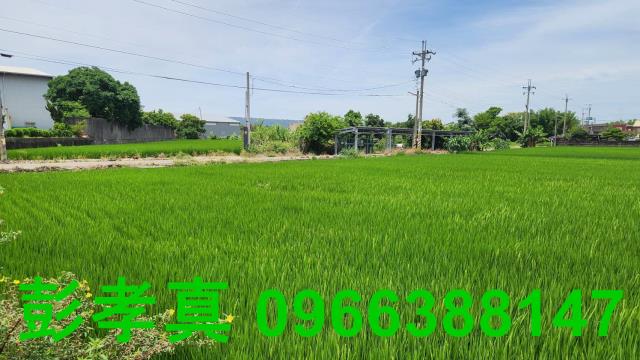 南投草屯建地-0