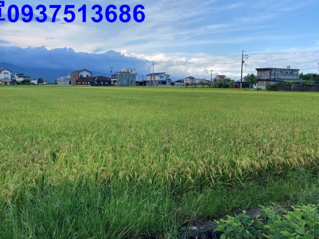 宜蘭壯圍農地-2