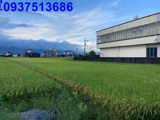 宜蘭壯圍農地-4