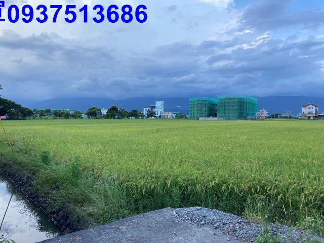 宜蘭壯圍農地-5