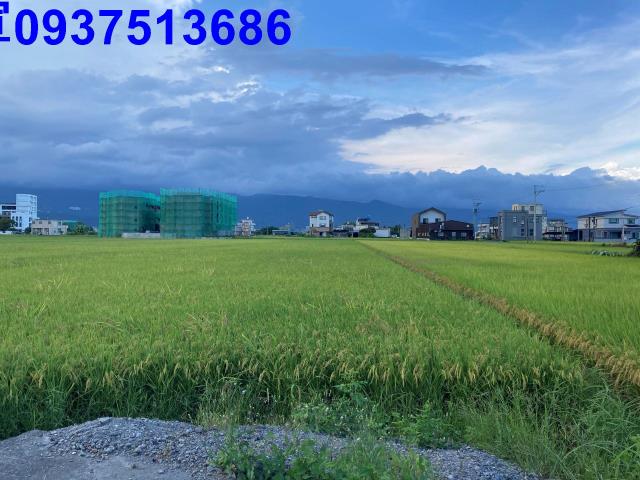 宜蘭壯圍農地-6