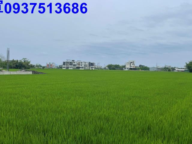 宜蘭礁溪農地-0