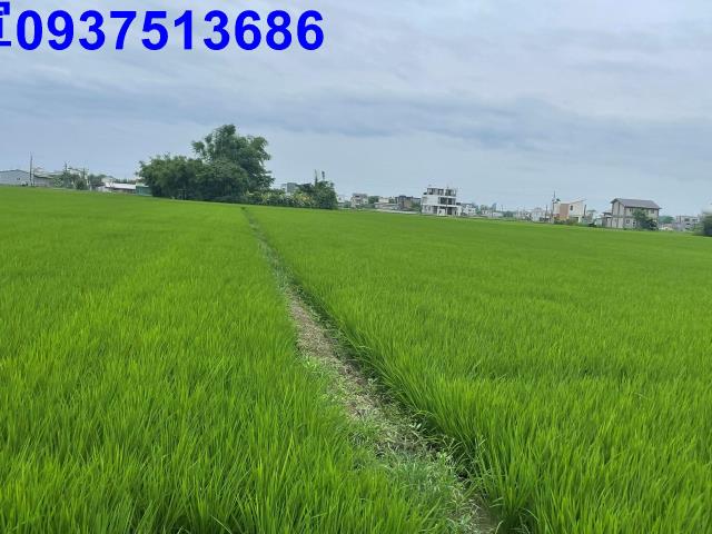宜蘭礁溪農地-1