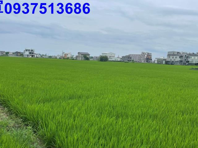 宜蘭礁溪農地-2
