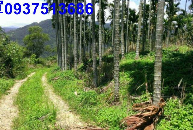 宜蘭員山農地-6