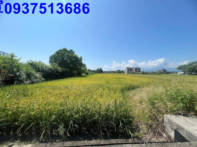 宜蘭員山農地-3
