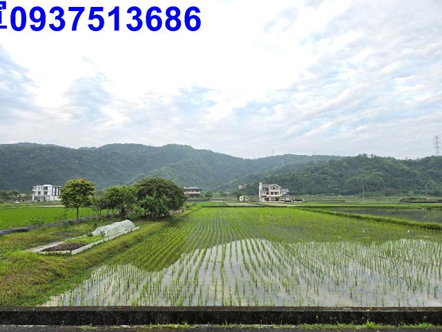 員山農地-12