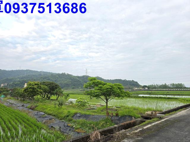 員山農地-13