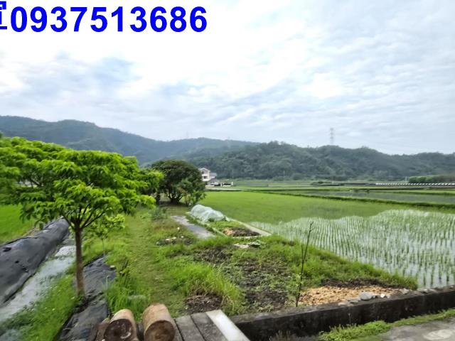 員山農地-4