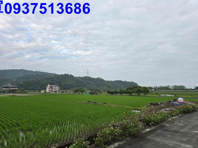 員山農地-5